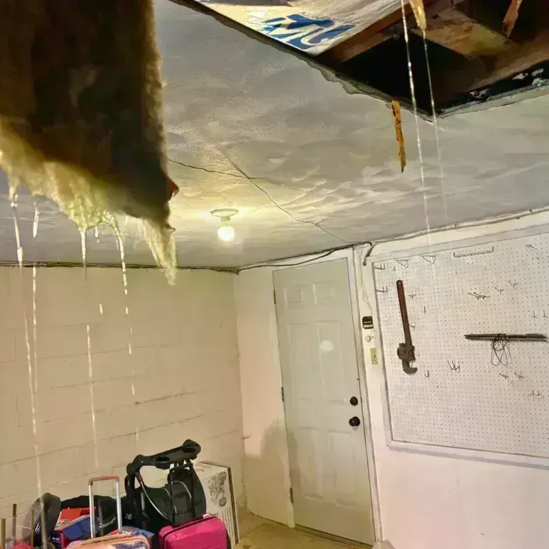 Before and after water damage restoration in Toledo, IL