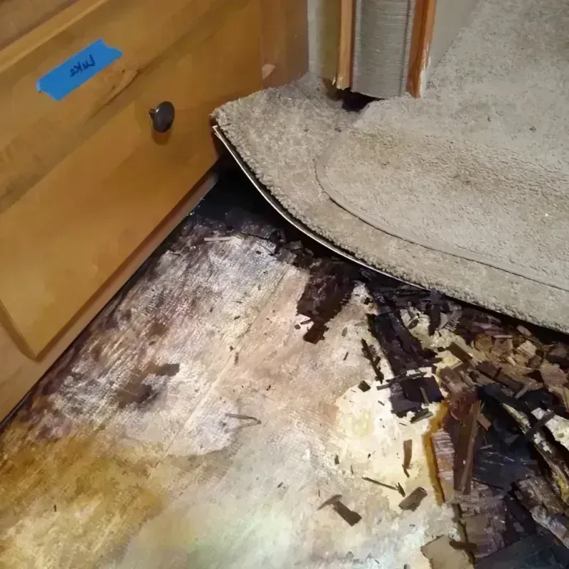 Wood Floor Water Damage in Toledo, IL